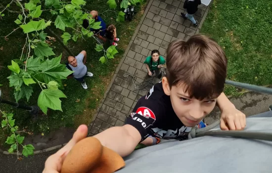 349710234_990021562190740_7737231850812216775_n